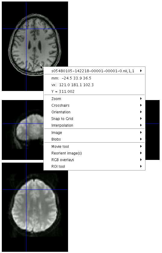 Screenshot of SPM's CheckReg tool after right-clicking