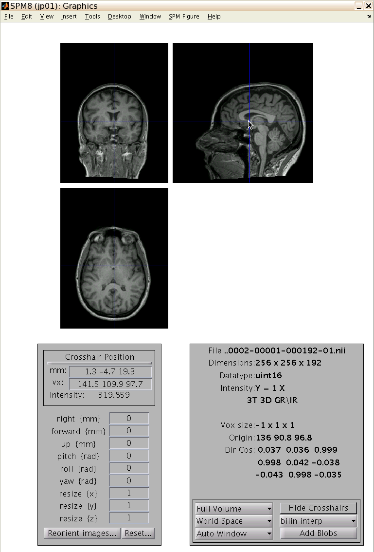 Screenshot of SPM's Display tool