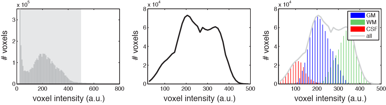 Illustration of voxel intensity distributions in a structural MRI image